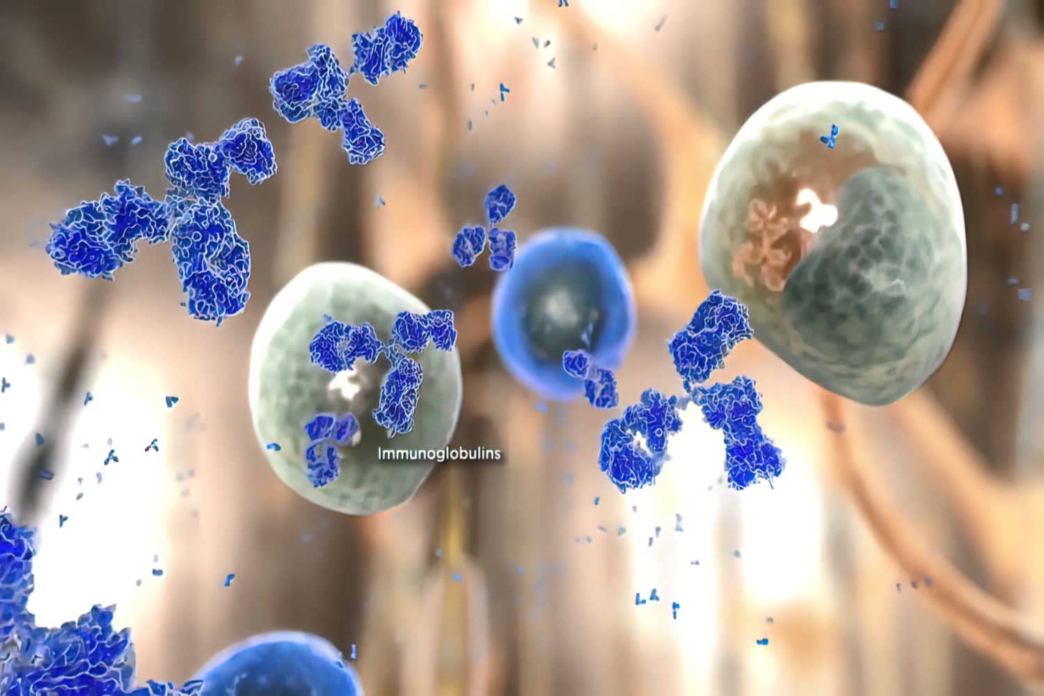 How Doesm Immune Memory Work