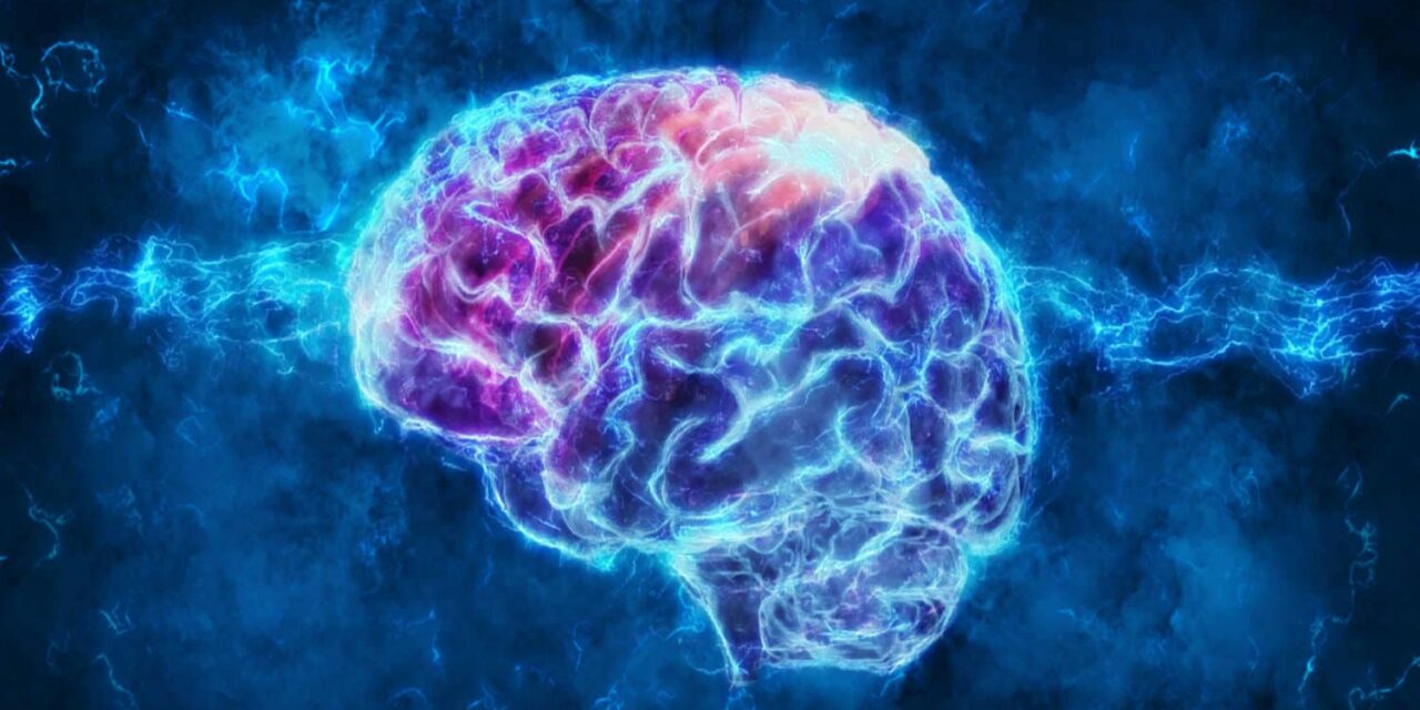 What is Immune Memory – How Does It Work