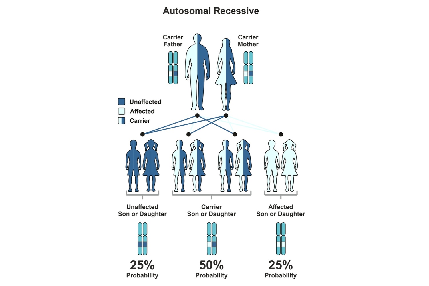 Autosomal Recessive Inheritance
