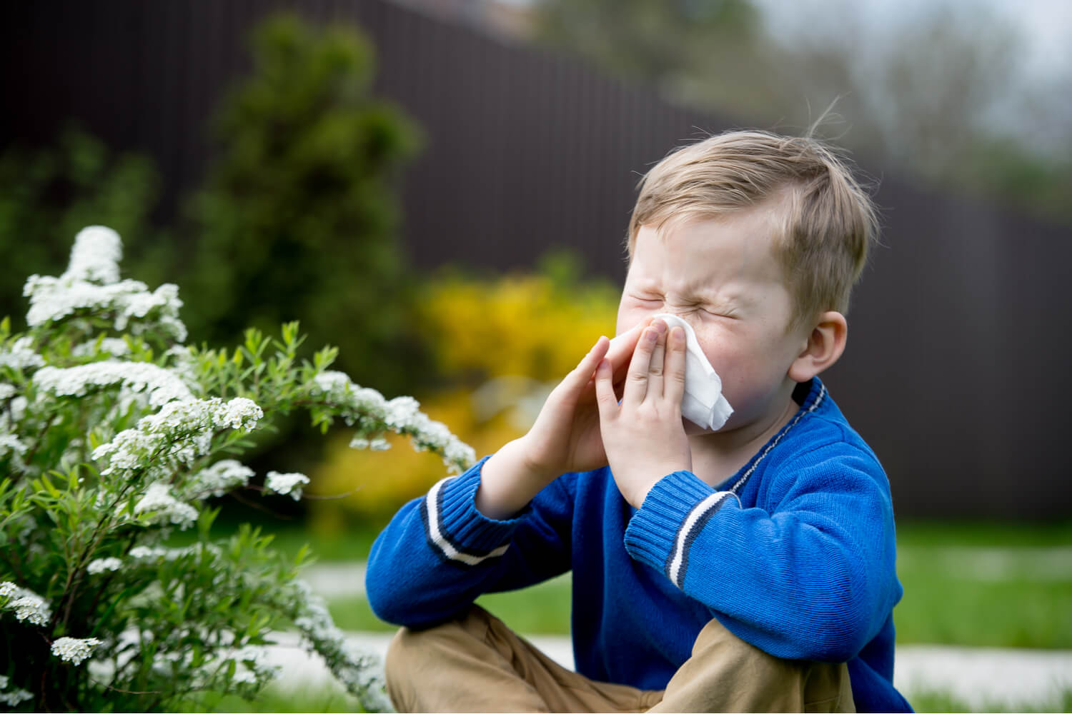 Symptoms of Hay Fever in Babies